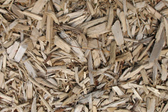 biomass boilers Auchinairn