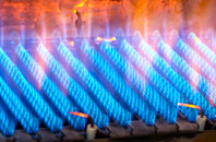 Auchinairn gas fired boilers